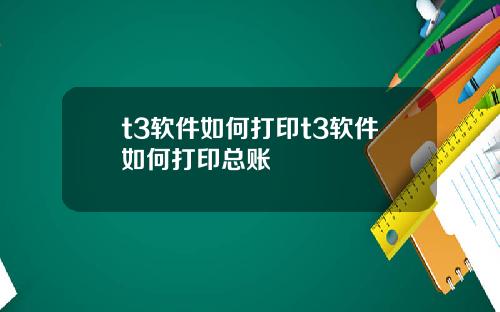 t3软件如何打印t3软件如何打印总账