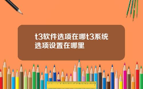 t3软件选项在哪t3系统选项设置在哪里