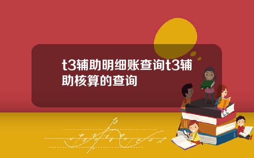 t3辅助明细账查询t3辅助核算的查询