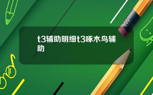 t3辅助明细t3啄木鸟辅助