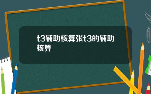 t3辅助核算张t3的辅助核算