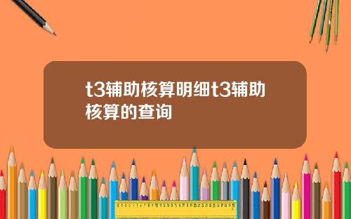 t3辅助核算明细t3辅助核算的查询