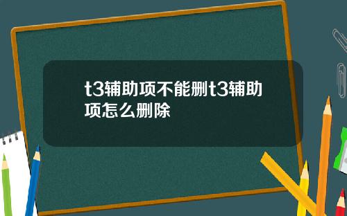 t3辅助项不能删t3辅助项怎么删除