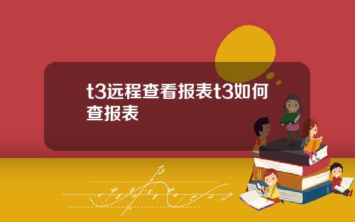 t3远程查看报表t3如何查报表