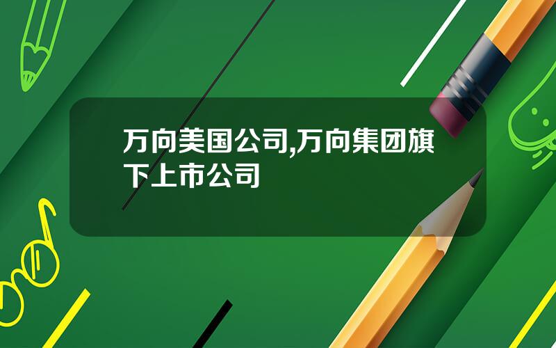 万向美国公司,万向集团旗下上市公司