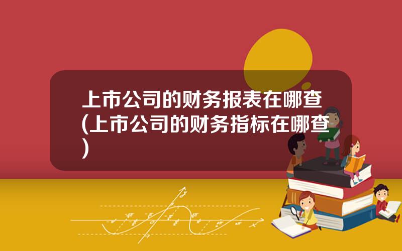上市公司的财务报表在哪查(上市公司的财务指标在哪查)
