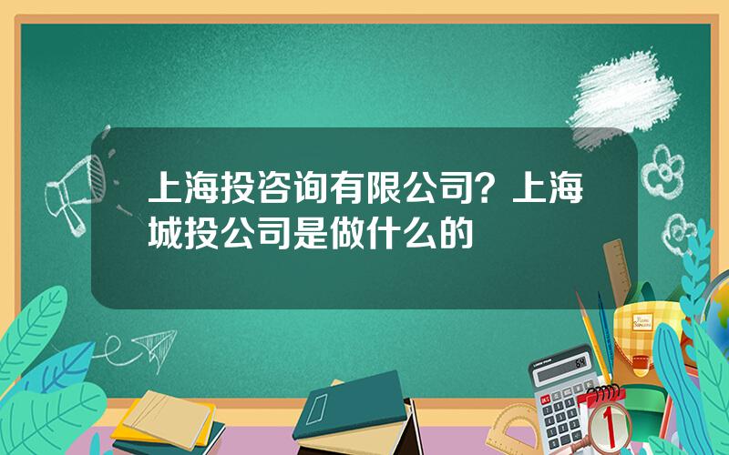 上海投咨询有限公司？上海城投公司是做什么的