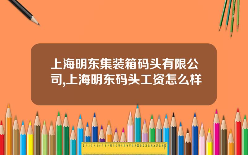 上海明东集装箱码头有限公司,上海明东码头工资怎么样
