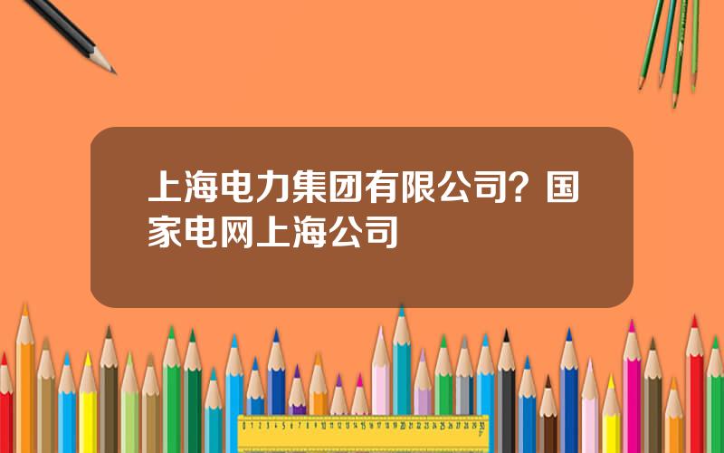 上海电力集团有限公司？国家电网上海公司