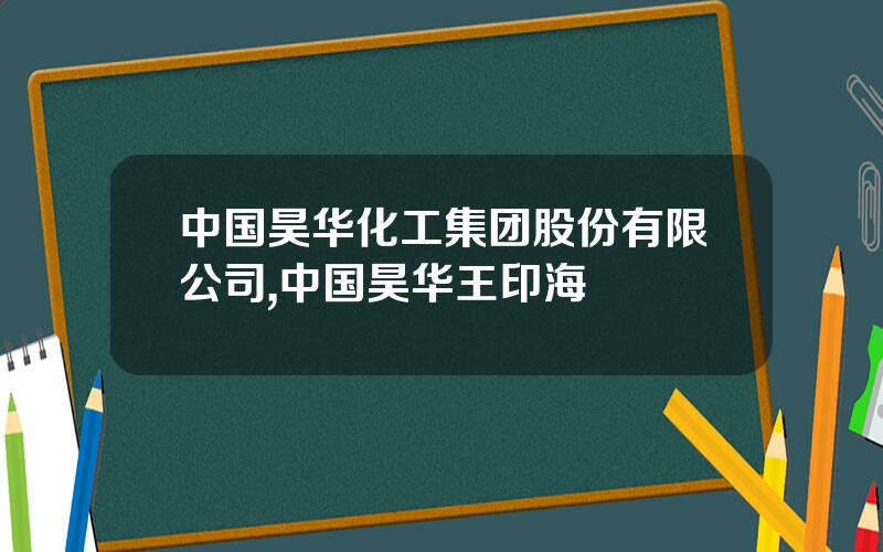 中国昊华化工集团股份有限公司,中国昊华王印海