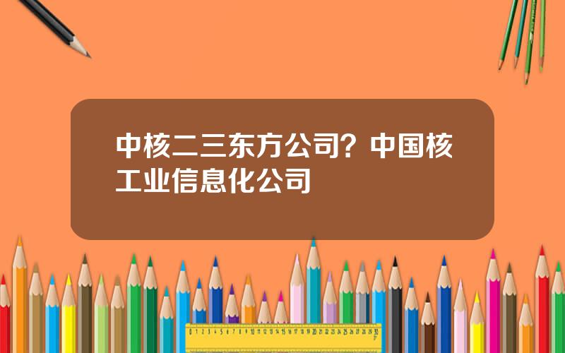 中核二三东方公司？中国核工业信息化公司
