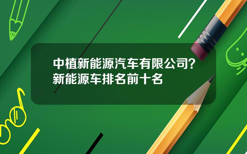 中植新能源汽车有限公司？新能源车排名前十名