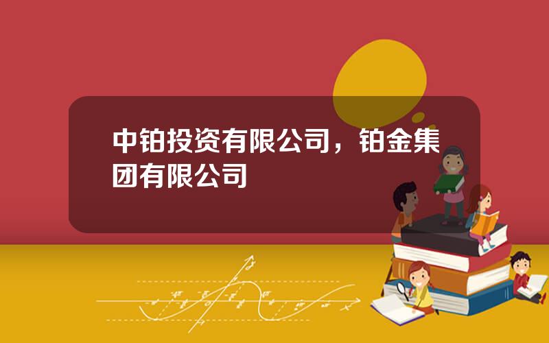 中铂投资有限公司，铂金集团有限公司