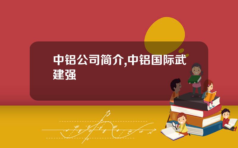 中铝公司简介,中铝国际武建强
