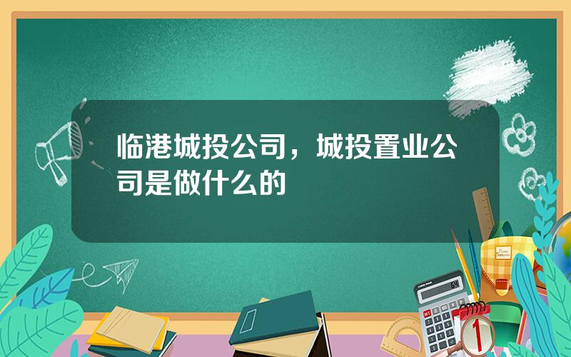 临港城投公司，城投置业公司是做什么的