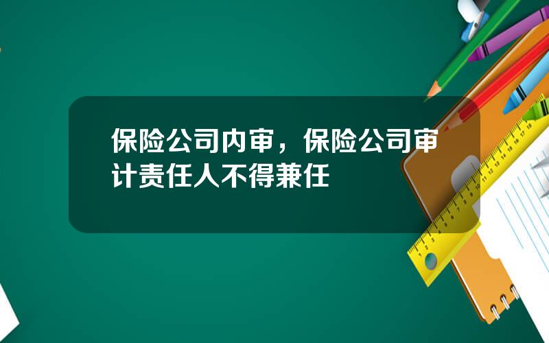 保险公司内审，保险公司审计责任人不得兼任
