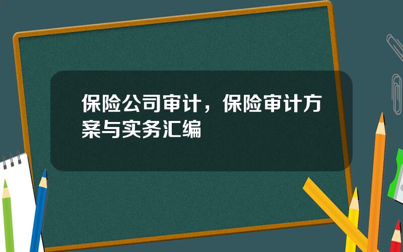 保险公司审计，保险审计方案与实务汇编