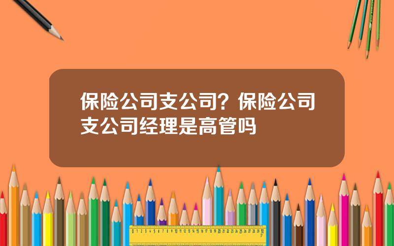 保险公司支公司？保险公司支公司经理是高管吗