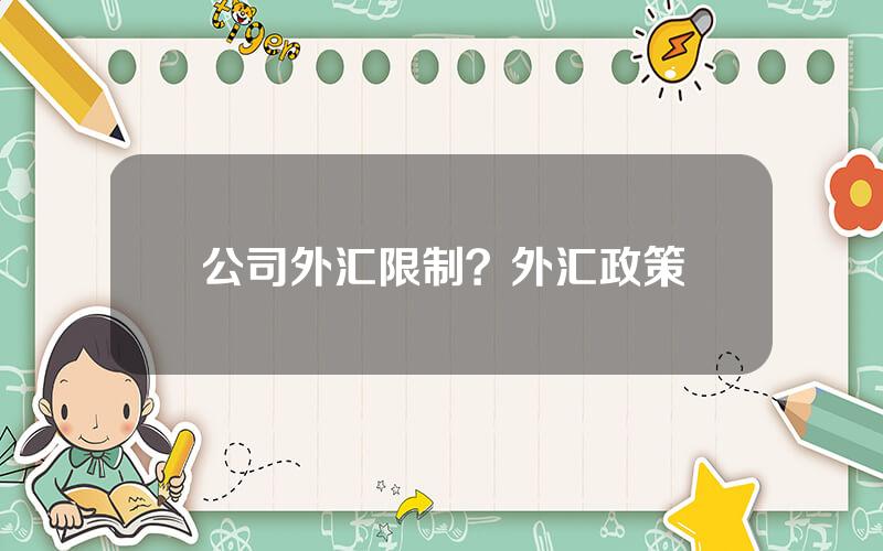 公司外汇限制？外汇政策