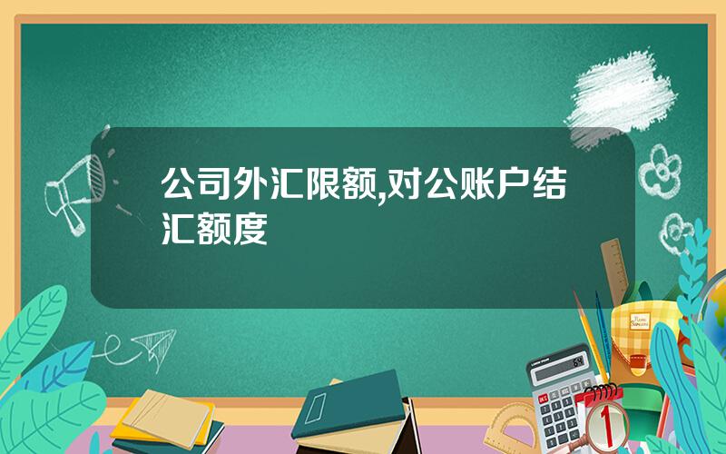 公司外汇限额,对公账户结汇额度