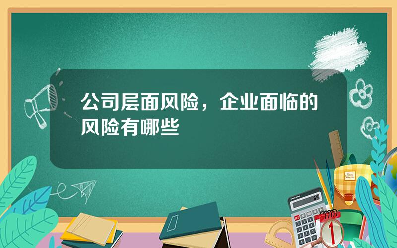 公司层面风险，企业面临的风险有哪些