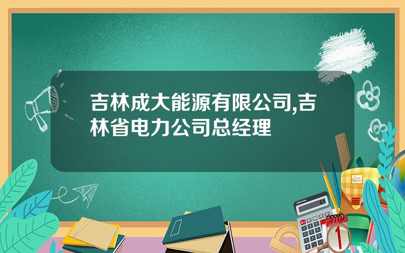 吉林成大能源有限公司,吉林省电力公司总经理