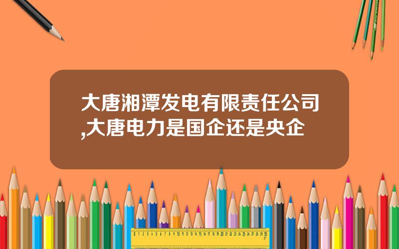 大唐湘潭发电有限责任公司,大唐电力是国企还是央企