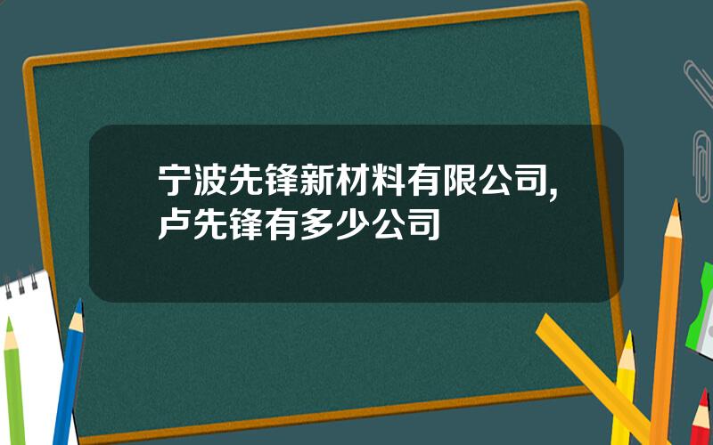 宁波先锋新材料有限公司,卢先锋有多少公司