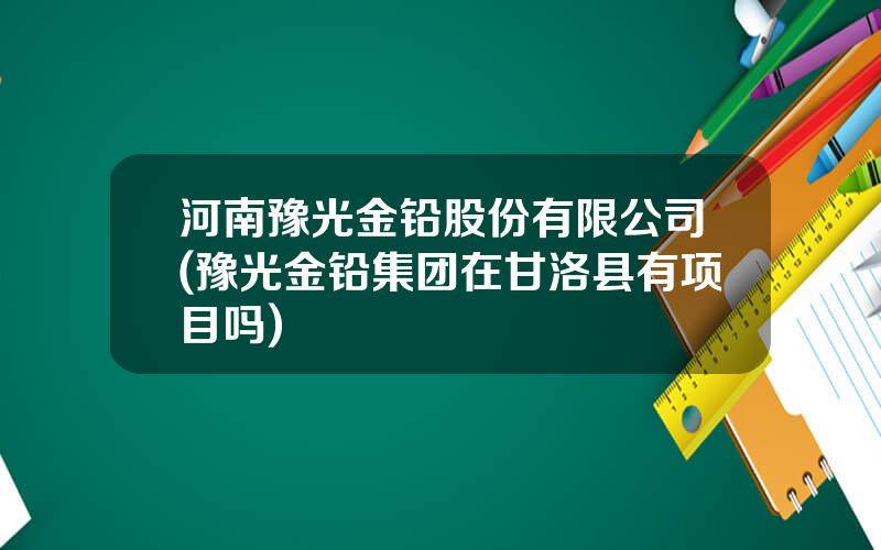 河南豫光金铅股份有限公司(豫光金铅集团在甘洛县有项目吗)