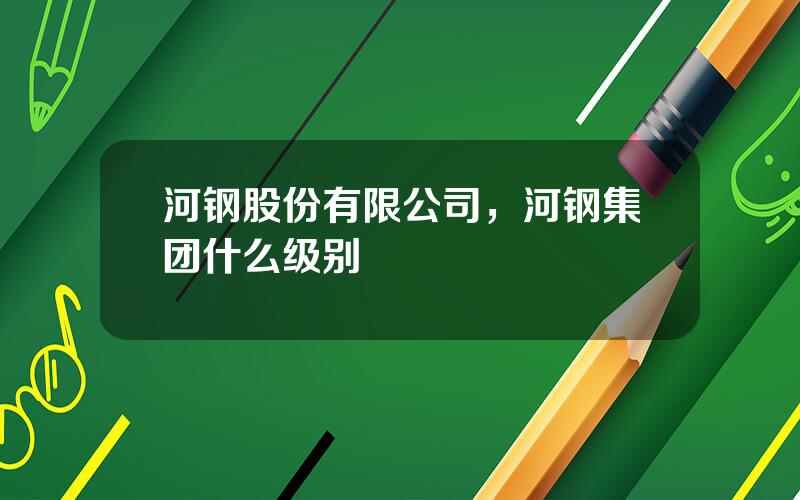 河钢股份有限公司，河钢集团什么级别
